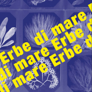 Fanzine: Erbe di Mare