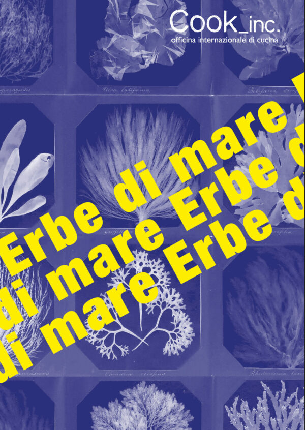 Fanzine: Erbe di Mare