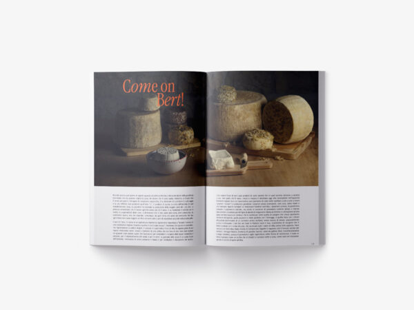 N. 41 - New Decadentismo - immagine 4
