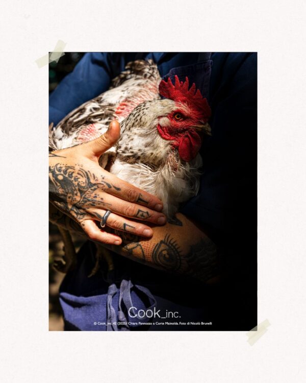 Poster: La Gallina di Corte
